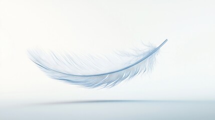 Poster -   White feather against gray & white backdrop