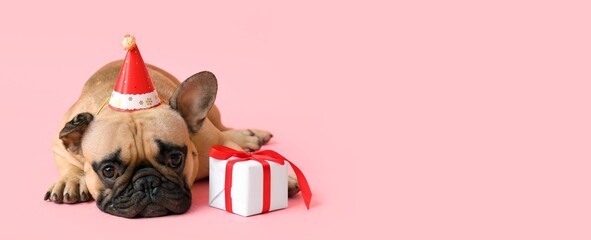 Canvas Print - Cute bulldog in Santa hat and with Christmas gift box on pink background with space for text