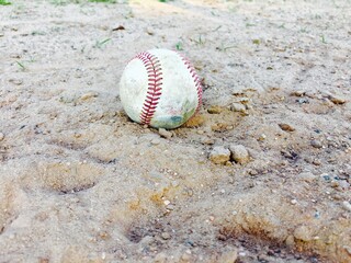 Baseball life
