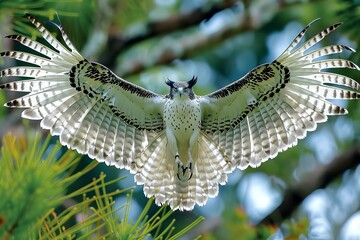 A magnificent hawk spreads its impressive wings as it soars through lush greenery, displaying intricate feather patterns illuminated by sunlight