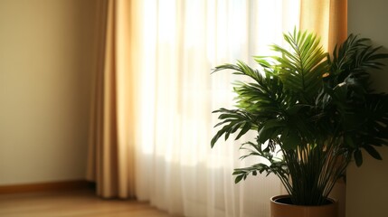 Poster - a variety of lush indoor tropical plants, including monstera and ferns, flourish in a sunlit corner 