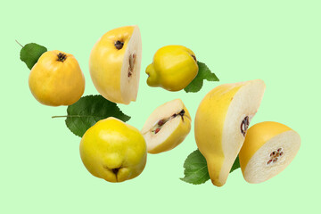 Sticker - Fresh quinces and leaves flying on light green background