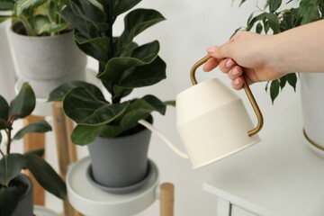 Wall Mural - Woman holding watering can near beautiful houseplant indoors, closeup