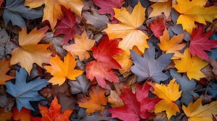 A close-up of fallen autumn leaves in a mix of warm colors lying on the ground, creating a textured and natural landscape 