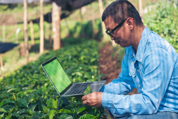 Smart farmer using laptop in eco green farm sustainable quality control. Close up Hand typing laptop computer quality control plant tree. Farmer hands using technology in eco Farmland biotechnology