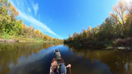 Wall Mural - Paddling a canoe through autumn colors. Woman taking cell phone selfie.

