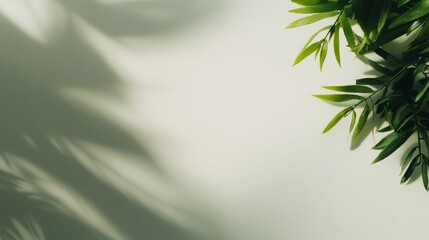 Poster - Palm leaves cast gentle, abstract shadows across a white surface, adding a peaceful tropical ambiance perfect for minimalist designs and product mockups