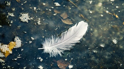 A single white feather floats on the surface of a dark, shallow body of water with some small white bubbles and dark brown leaves.