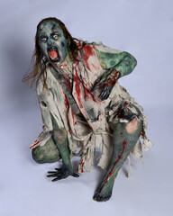 Wall Mural - portrait of scary female model wearing spooky halloween costume, ripped clothes and fake blood like an undead demon apocalyptic zombie character. Isolated figure, crawling poses dark studio background