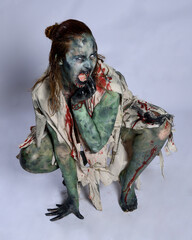 Wall Mural - portrait of scary female model wearing spooky halloween costume, ripped clothes and fake blood like an undead demon apocalyptic zombie character. Isolated figure, crawling poses dark studio background