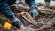 © sirisakboakaew - Dinosaur fossil excavation: Partially buried remains being unearthed from the ground during an archaeological dig