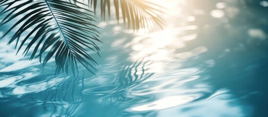 Wall Mural - Palm leaves cast shadows on the shimmering surface of a pool of turquoise water.