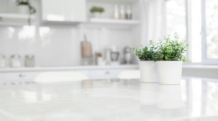 Wall Mural - Two potted plants on a white table in a modern kitchen