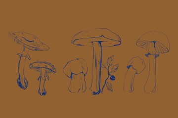 illustration with mushrooms