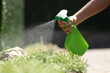 © Antonioguillem - Woman hand spraying insecticide over plants in a garden