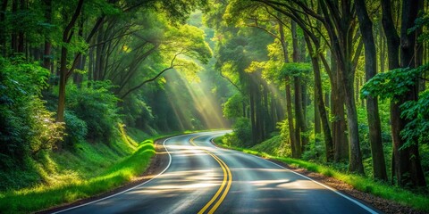 Sticker - A Serene Forest Road Bathed in Golden Sunlight, Illuminating the Way Through a Canopy of Lush Green Trees