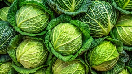 Canvas Print - Background of fresh ripe early cabbage, top view in a market , cabbage, green, vegetable, healthy, organic, market, farm, harvest