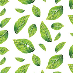 Realistic Fly Green Leaves Seamless Pattern Background on white Decorative Organic Element Creative Botany Concept Vector illustration