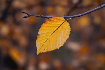 Aufkleber - A solitary orange leaf clings to a twig, set against a bokeh-inducing backdrop of soft autumn hues, capturing the essence of fall's tranquil beauty.