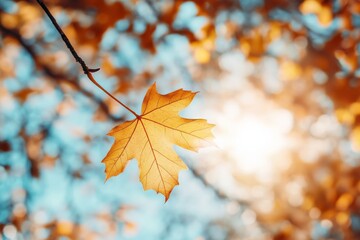 Poster - A golden maple leaf is spotlighted as it hangs from a branch, with sunlit backgrounds creating glowing orbs, evoking warmth and nostalgia in autumn's embrace.