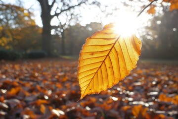 Aufkleber - With the sun lighting its veins, this photo captures the moment of autumn's brilliance through a single leaf, its pattern highlighted in radiant warm hues.