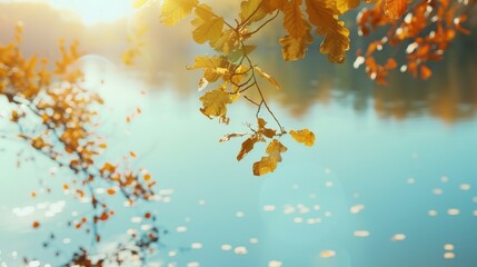 Poster - Sunlit autumn leaves gently hang over a tranquil lake, reflecting the glow of a bright morning sky, embodying the serene elegance of the season.