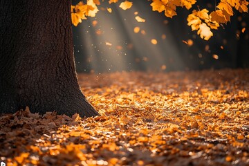 Poster - Leaves cascade around a tree trunk with sunrays filtering through, capturing the beauty and tranquility of an autumn afternoon in a harmonious natural setting.