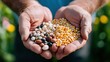 © familymedia - A pair of hands is cupped gently to display a variety of seeds, representing potential for growth and the nurturing aspect of human-plant relationships.