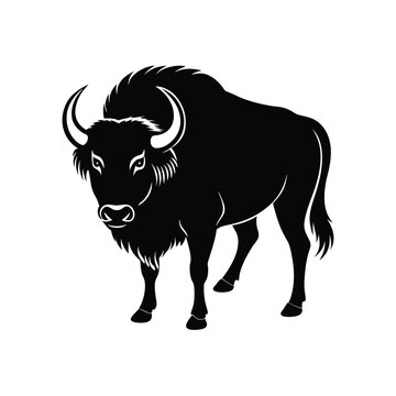 Bull silhouette 