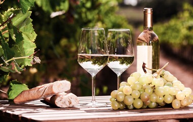 Wall Mural - Glass of White wine ripe grapes and bread on table in vineyard