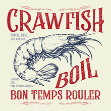 Crawfish tee design, Unisex Women's Men's Shirt, Crayfish Shirt, Fishing Shirt, Funny Fish tee, Vintage retro print, seafood Crawfish sketch, drawing artwork grunge apparel t-shirt