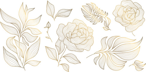 Wall Mural - vector set of art deco drawn leaves and flowers. roses line illustrations, gold on white isolated. f