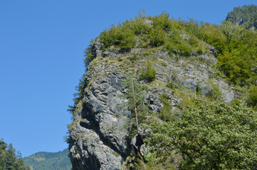 Beautiful mountains with green trees and plants against blue sky on a sunny day. Natural landscape.