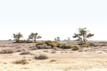 Poster - Shrubland landscape nature outdoors.