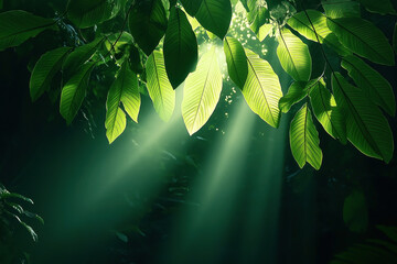 Poster - Sunlight beams through lush green leaves in a dense forest, creating a tranquil, natural scene with vibrant foliage and glowing light rays.