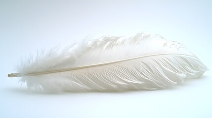 Poster - Soft,White Feather Floating Effortlessly in the Air - Elegant,Minimalistic Textured Background Perfect for Premium Lifestyle,Beauty,or Wellness Concept Photography. Serene,Calming.