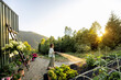 © rh2010 - A woman waters her garden in the early morning, surrounded by lush greenery and a stunning mountain view. The peaceful moment captures the essence of life in harmony with nature