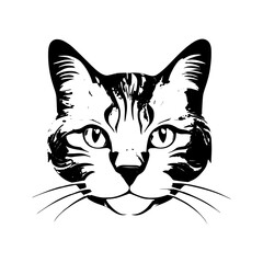 Naklejka na meble Vector illustration sketch of a cat face