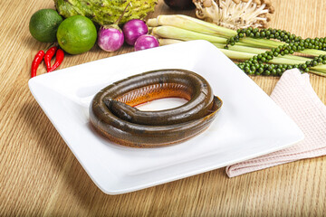 Fresh raw uncooked eel for grill