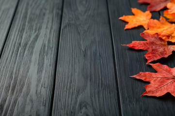 Poster - Simple autumn background with colorful maple leaves lying on an empty black wooden table