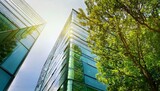 Close-up of Sustainable green glass building. Trees.