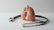 © Sasa Visual - A detailed lung model with a stethoscope, symbolizing respiratory examinations