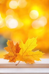 Two Golden Autumn Leaves on a White Surface with Bokeh Background.