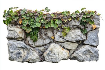 Aufkleber - A stone wall completely covered in lush green plants.