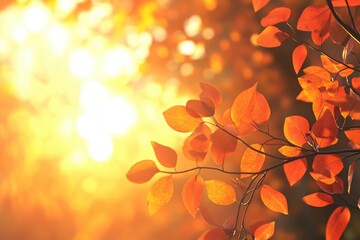 Poster - A picture of sunlight shining through the leaves of a tree, ideal for use in illustrations or designs where natural light is needed.