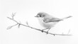 © Napasnan - Simple pencil sketch of a bird on a branch, isolated on a clean white background