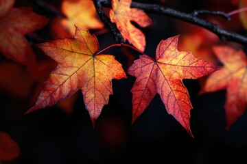 Aufkleber - Close-up view of two interconnected leaves on a tree branch.