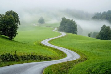 Poster - A winding road in the midst of a lush green field, perfect for scenic drives or rural landscapes.