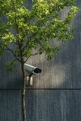 Aufkleber - A camera mounted to the side of a building, next to a tree.