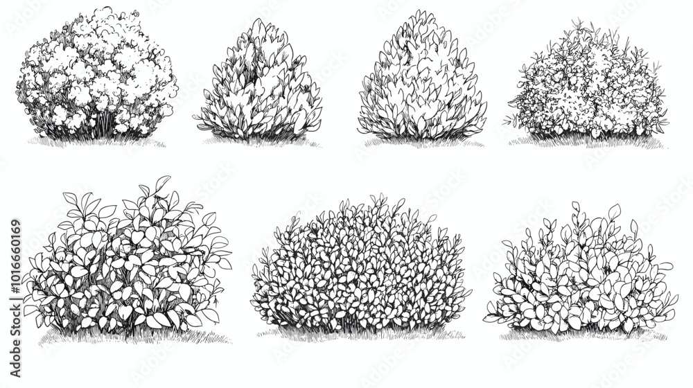 Set of vector bush illustrations on a white background. Architectural ...